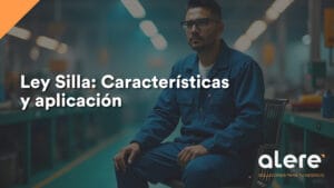 Características de la Ley Silla