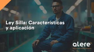 Características de la Ley Silla