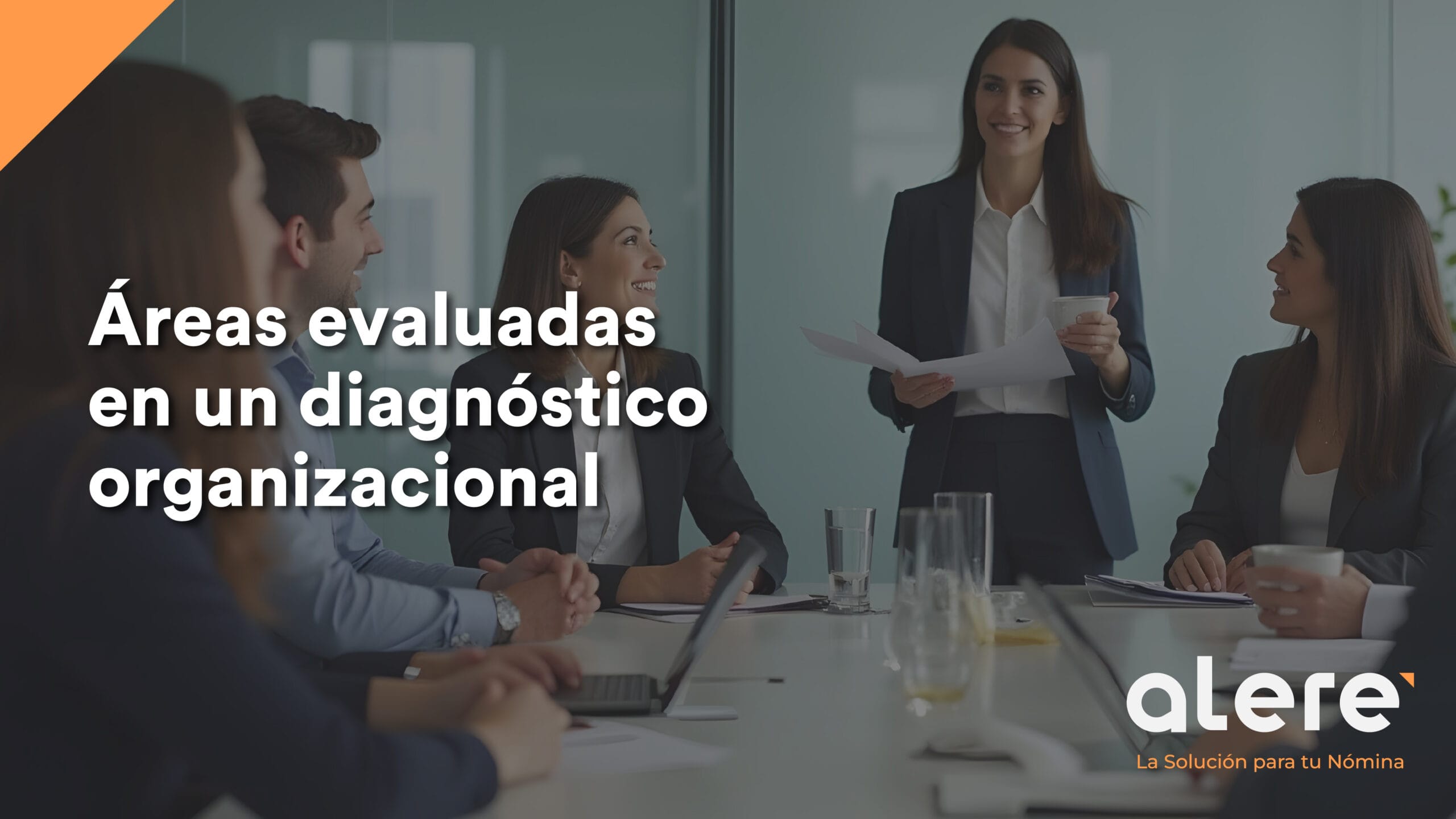 Áreas evaluadas en un diagnóstico organizacional